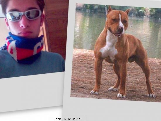 da frate...da te taie turcii ca le furi femeile :)) orice